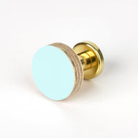 Priormade Birch & Brass Knob in Aqua