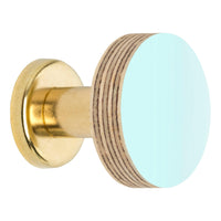 Priormade Birch & Brass Knob in Aqua
