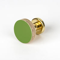 Priormade Birch & Brass Knob in Fern