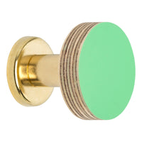 Priormade Birch & Brass Knob in Mint Green