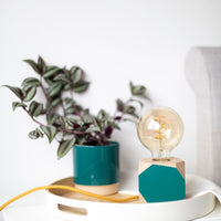 Priormade Geo Lamp Geo Filament Lamp in Dusty Pink