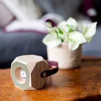 PRIORMADE Geo Pendant Lamp in Fern Green