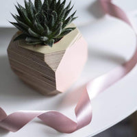 Priormade Geo Vessel Geo Vessel - Blush Pink