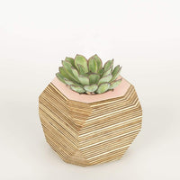Priormade Geo Vessel Geo Vessel - Blush Pink (top)