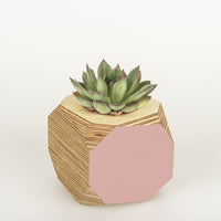 Priormade Geo Vessel Geo Vessel - Dusty Pink