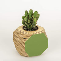 Priormade Geo Vessel Geo Vessel - Fern Green