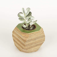 Priormade Geo Vessel Geo Vessel - Fern Green (top)