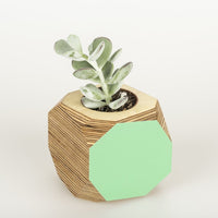 Priormade Geo Vessel Geo Vessel - Mint Green