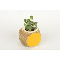 Priormade Geo Vessel SALE 30% off - Geo | Vessels - side painted (various colours)