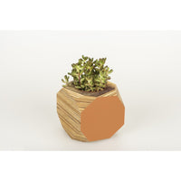 Priormade Geo Vessel SALE 30% off - Geo | Vessels - side painted (various colours)