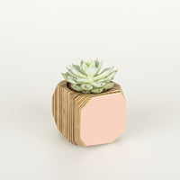 Priormade Mini Geo Vessel Mini Geo Vessels - Blush Pink