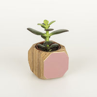 Priormade Mini Geo Vessel Mini Geo Vessels - Dusty Pink