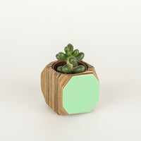 Priormade Mini Geo Vessel Mini Geo Vessels - Mint Green