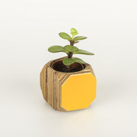 Priormade Mini Geo Vessel Mini Geo Vessels - Mustard Yellow