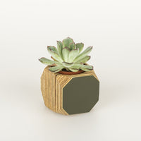 Priormade Mini Geo Vessel Mini Geo Vessels - Olive Green