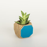 Priormade Mini Geo Vessel Mini Geo Vessels - Peacock Blue