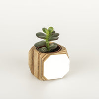 Priormade Mini Geo Vessel Mini Geo Vessels - White