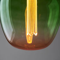 PRIORMADE Light Bulb Large Statement Filament Bulb in a Green to Pink Fade (LED)
