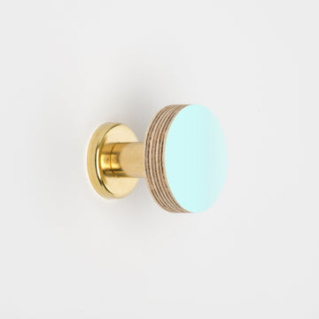 Priormade Birch & Brass Knob in Aqua