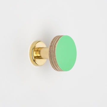 Priormade Birch & Brass Knob in Mint Green