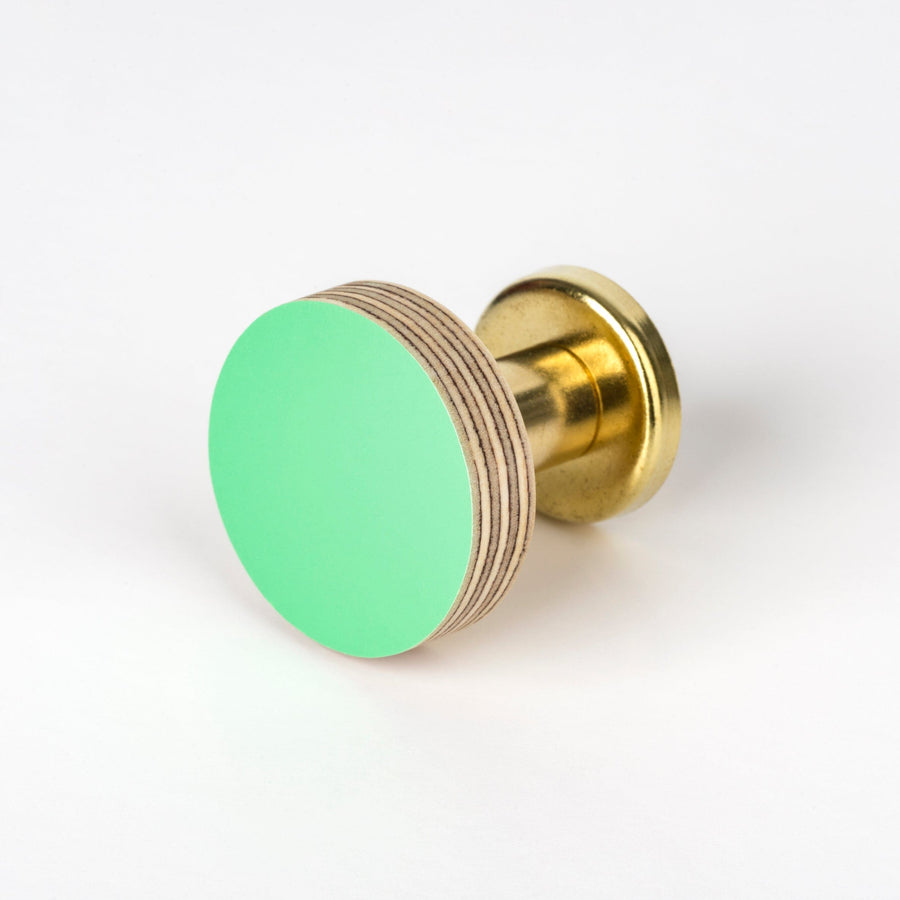 Priormade Birch & Brass Knob in Mint Green