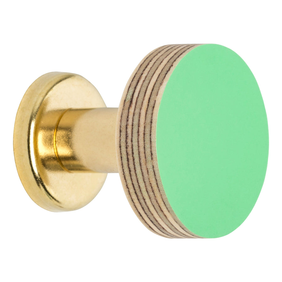 Priormade Birch & Brass Knob in Mint Green