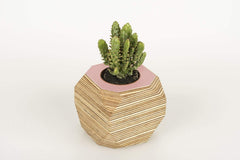 Priormade Geo Vessel Geo Vessel - Dusty Pink (top)