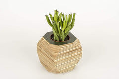 Priormade Geo Vessel Geo Vessel - Olive Green (top)