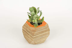 Priormade Geo Vessel Geo Vessel - Orange (top)