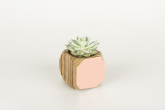 Priormade Mini Geo Vessel Mini Geo Vessels - Blush Pink