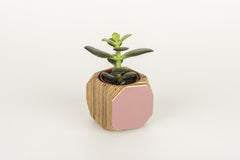Priormade Mini Geo Vessel Mini Geo Vessels - Dusty Pink