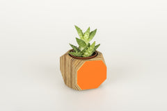 Priormade Mini Geo Vessel Mini Geo Vessels - Orange