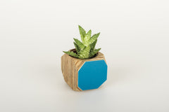 Priormade Mini Geo Vessel Mini Geo Vessels - Peacock Blue